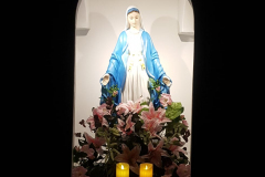 c2904c16-489e-4784-b768-e60729bfb925